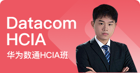 数通(Datacom)HCIA班